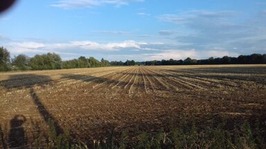 Landwirtschaftliche Fläche zum Kauf 42.540 m² Grundstück Melkow Wust-Fischbeck 39524