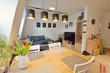 Wohnung zur Miete 500 € 2 Zimmer 42 m² 2. Geschoss Lohne Lohne 49393