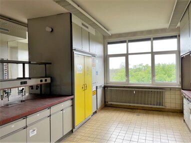 Bürofläche zur Miete 7,30 € 460 m² Bürofläche teilbar ab 230 m² Giulinistr. 2 Rheingönheim / Stadtbezirk 524 Ludwigshafen 67065