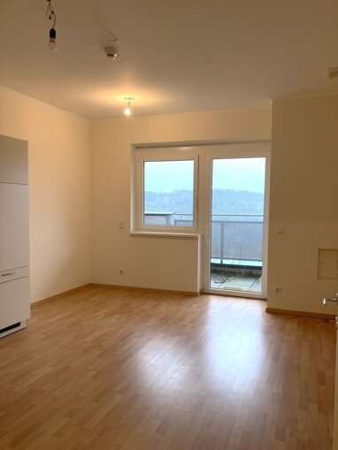 Wohnung zur Miete 416,36 € 1 Zimmer 36,4 m² Erdgeschoss Lichtenegg 2813