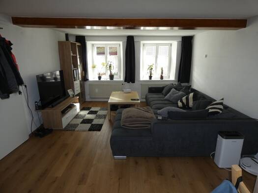 Wohnung zur Miete 540 € 2 Zimmer 55 m² EG frei ab 01.01.2026 Dinkelsbühl 91550