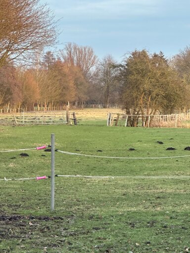 Land-/Forstwirtschaft zur Miete provisionsfrei 600 € 25.000 m² Grundstück Büdelsdorf 24782