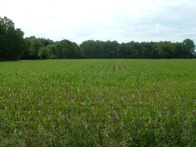 Landwirtschaftliche Fläche zum Kauf 410.118 m² Berbersdorf Striegistal 09661