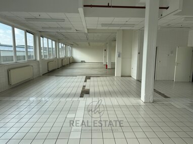 Produktionshalle zur Miete 7,90 € 250 m² Lagerfläche Hammerbrook Hamburg 20537