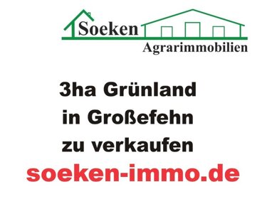 Land-/Forstwirtschaft zum Kauf 85.000 € 30.000 m² Grundstück Akelsbarg Großefehn 26629