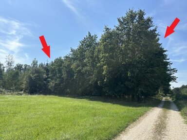 Land-/Forstwirtschaft zum Kauf 6.197 m² Grundstück Pilling Perkam 94368