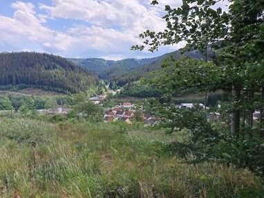 Land-/Forstwirtschaft zum Kauf 17.500 € 5.000 m² 5.000 m² Grundstück Wellesbach Wallenfels 96346