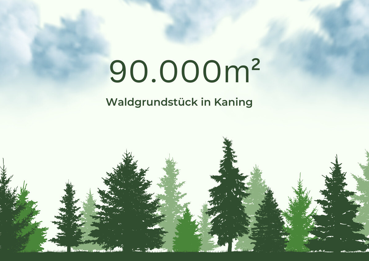 Land-/Forstwirtschaft zum Kauf 195.000 € 90.000 m² Grundstück Kaning / Kaning 9545