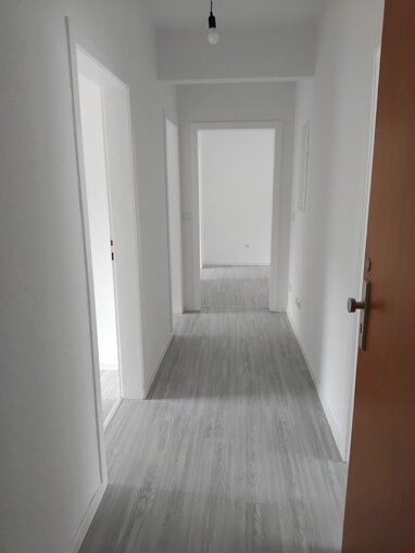 Wohnung zur Miete 500 € 3 Zimmer 65,3 m² 1. Geschoss Wolfstraße 9a Horst Gelsenkirchen 45899