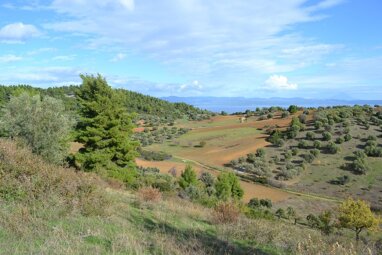 Land-/Forstwirtschaft zum Kauf 75.000 € 7.200 m² Grundstück Chalkidiki