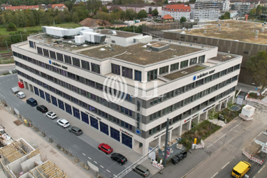 Bürofläche zur Miete Provisionsfrei 19,50 € 1.185 m² Bürofläche Weststadt - Ost Heidelberg 69115