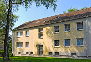 Wohnung zur Miete nur mit Wohnberechtigungsschein 281,76 € 3 Zimmer 58,1 m² 1. Geschoss Westfalenstraße 88 Hochlarmark Recklinghausen 45661