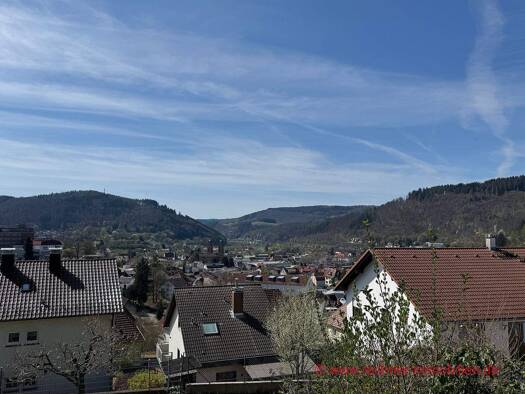 Mehrfamilienhaus zum Kauf 335.000 € 7,5 Zimmer 225 m² 464 m² Grundstück Eberbach 69412