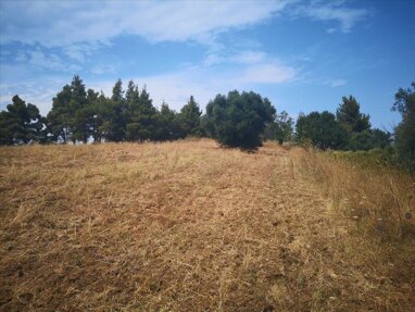 Land-/Forstwirtschaft zum Kauf 100.000 € 4.300 m² Grundstück Chalkidiki