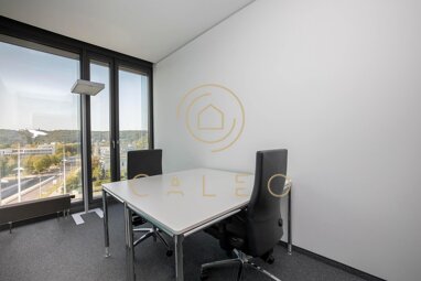 Bürokomplex zur Miete Provisionsfrei 75 m² Bürofläche teilbar ab 1 m² Gronau-Regierungsviertel Bonn 53113