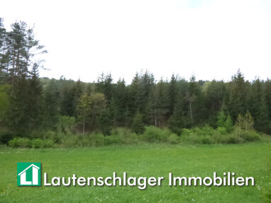 Land-/Forstwirtschaft zum Kauf 65.000 € 18.100 m² Grundstück Albertshofen Velburg / Ronsolden 92355