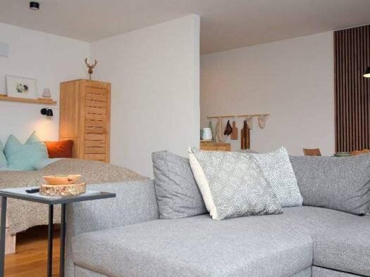 Wohnung zur Miete Wohnen auf Zeit 850 € 1 Zimmer 46 m² frei ab sofort Friesenried 87654