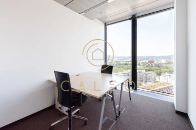 Bürokomplex zur Miete Provisionsfrei 50 m² Bürofläche teilbar ab 1 m² Wien 1100