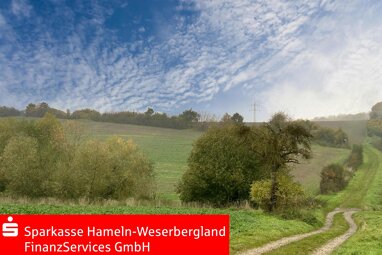 Land-/Forstwirtschaft zum Kauf 400.000 € 56.620 m² Grundstück Voremberg Emmerthal 31860