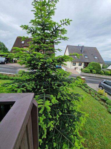 Doppelhaushälfte zum Kauf Provisionsfrei 390.000 € 7 Zimmer 157 m² 300 m² Grundstück Hörstein Alzenau 63755
