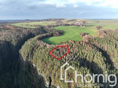 Land-/Forstwirtschaft zum Kauf 7.900 € 10.666 m² Grundstück Rathewalde Hohnstein / Rathewalde 01848
