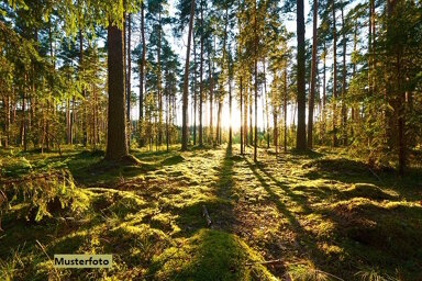 Land-/Forstwirtschaft zum Kauf 1.743 € 3.486 m² Grundstück Hecke Waldbröl 51545