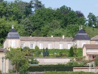 Schloss zum Kauf 2.800.000 € 15 Zimmer 830 m² 19.484 m² Grundstück Villefranche-sur-Saône 69400
