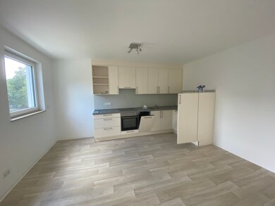 Wohnung zur Miete 1.100 € 2 Zimmer 87 m² 1. Geschoss frei ab 01.04.2025 Dammstraße 39 Wenigenjena - Ort Jena 07749