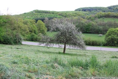 Grundstück zum Kauf 98.000 € 1.683 m² Grundstück Frankelbach 67737