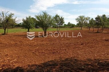 Land-/Forstwirtschaft zum Kauf 230.000 € Jursici 52342