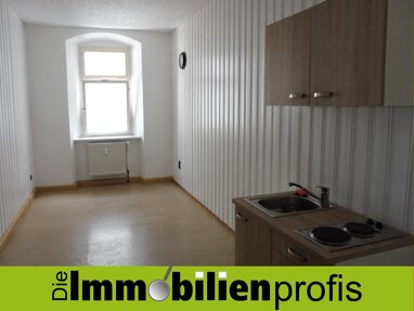 Wohnung zur Miete 280 € 1 Zimmer 33 m² 1. Geschoss Unteres Tor 4 Innenstadt Hof 95028