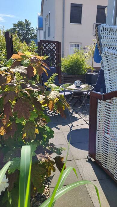Wohnung zum Kauf provisionsfrei 242.000 € 2 Zimmer 36 m² Grömitz Grömitz 23743