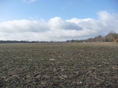 Landwirtschaftliche Fläche zum Kauf 35.983 m² Grundstück Fürstenauer Straße Vechtel Bippen 49626