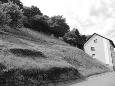 Grundstück zum Kauf 85.000 € 1.505 m² Grundstück Schönau Schönau 69250