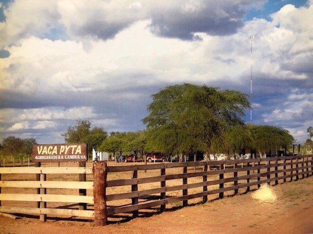 Landwirtschaftliche Fläche zum Kauf 5.500.000 $ 44.000.000 m² 44.000.000 m² Grundstück Mariscal Estigarribia-Chaco Paraguay