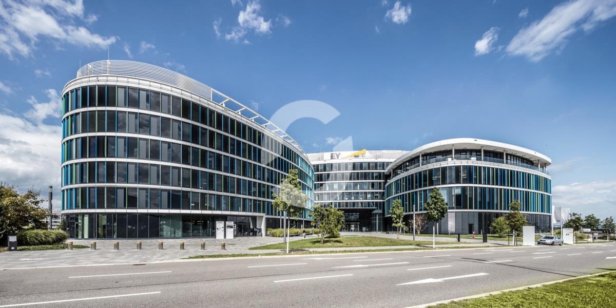 Büro-/Praxisfläche zur Miete 19 € 485 m²<br/>Bürofläche ab 485 m²<br/>Teilbarkeit Plieningen Stuttgart, Leinfelden-Echterdingen 70629