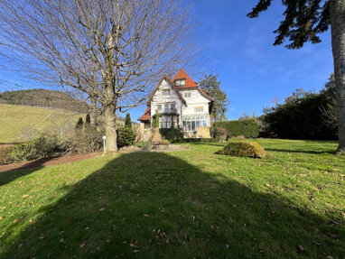Villa zum Kauf 2.500.000 € 12 Zimmer 666 m² 2.018 m² Grundstück Lautenbach 77794