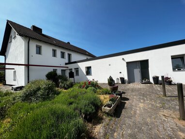Mehrfamilienhaus zum Kauf 699.900 € 1.600 m² Grundstück Odernheim 55571