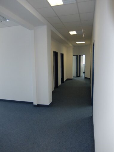 Bürofläche zur Miete 2.016 € 12 Zimmer 170 m² Bürofläche Hohes Kreuz - Osthafen - Irl Regensburg 93055