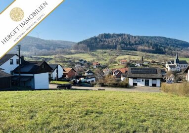 Grundstück zum Kauf 129.000 € 1.092 m² Grundstück Boxtal Freudenberg 97896