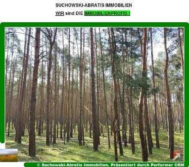 Land-/Forstwirtschaft zum Kauf 43.500 € 54.259 m² Grundstück Friedensau Möckern 39291