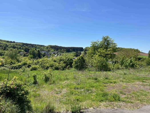 Grundstück zum Kauf 24.255 € 735 m² Grundstück Kirchweiler 54570