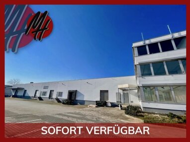 Lagerhalle zur Miete 6,50 € 2.500 m² Lagerfläche Steinberg Dietzenbach 63128