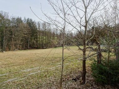 Grundstück zum Kauf 450.000 € 1.000 m² Grundstück Alt-Vogelhof 6 Vogelhof Lauf an der Pegnitz 91207