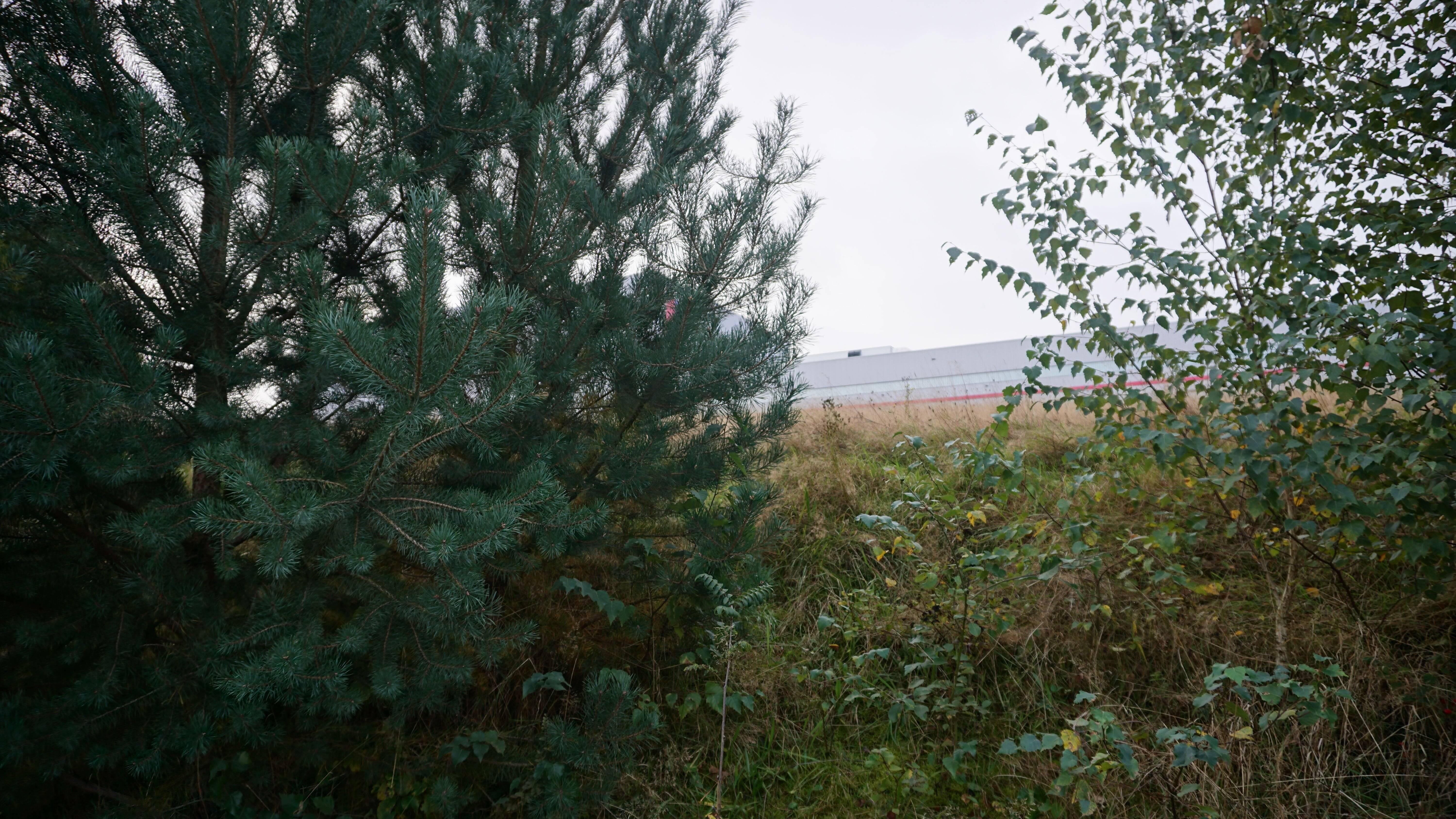 Schöne erschlossene Baugrundstücke in 66989 Petersberg