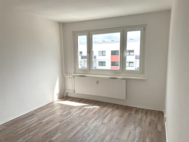 Wohnung zur Miete 438 € 4 Zimmer 87,6 m² frei ab sofort Postweg 14e Bad Düben Bad Düben 04849