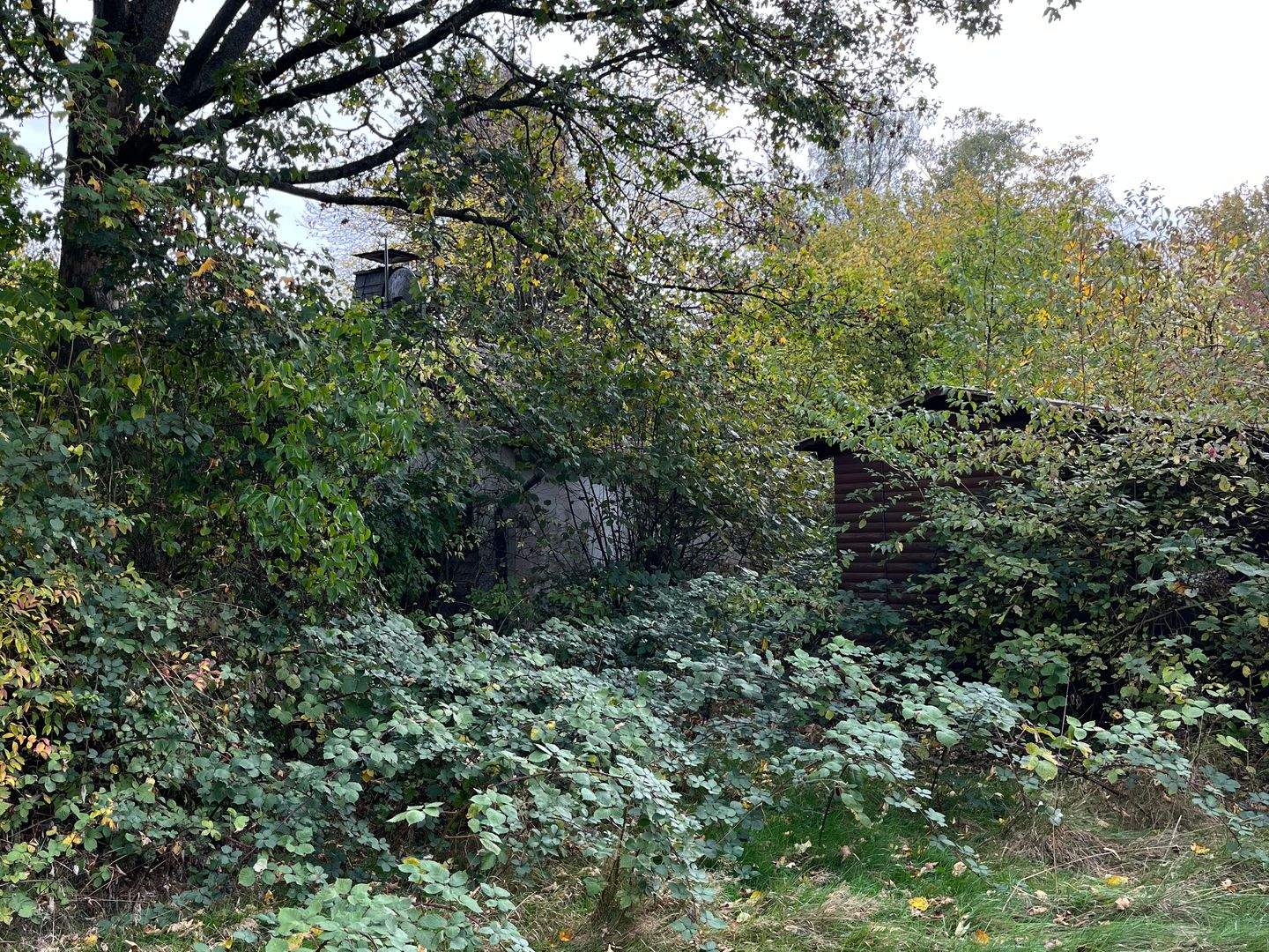 +++ SEHR ATTRAKTIVES UND RUHIGES BAUGRUNDSTÜCK IN DER ISERLOHNER HEIDE; INKL: ALLEN GENEHMIGUNGEN FÜR EIN 2 FAM-HAUS +++