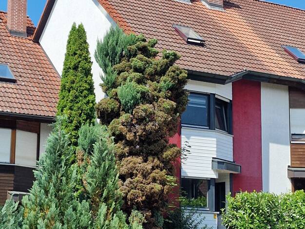 Reihenmittelhaus zum Kauf 340.000 € 4,5 Zimmer 130,1 m² 226 m² Grundstück Weidenberg 95466