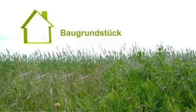 Grundstück zum Kauf 290.000 € 800 m² Grundstück Oranienburg Oranienburg 16515