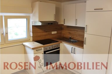 Wohnung zur Miete 385 € 2 Zimmer 50 m² 1. Geschoss Wald-Michelbach Wald-Michelbach 69483